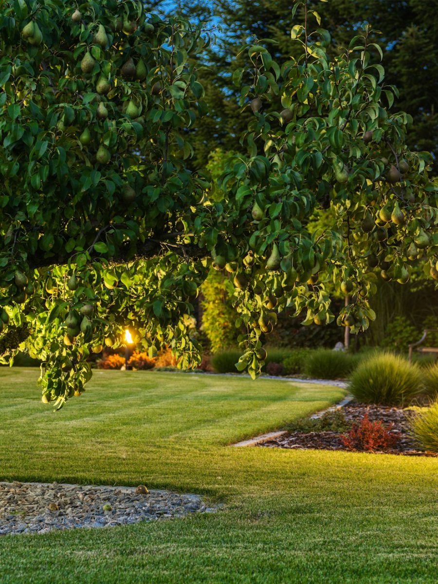 beautiful-landscape-garden-with-outdoor-lights.jpg