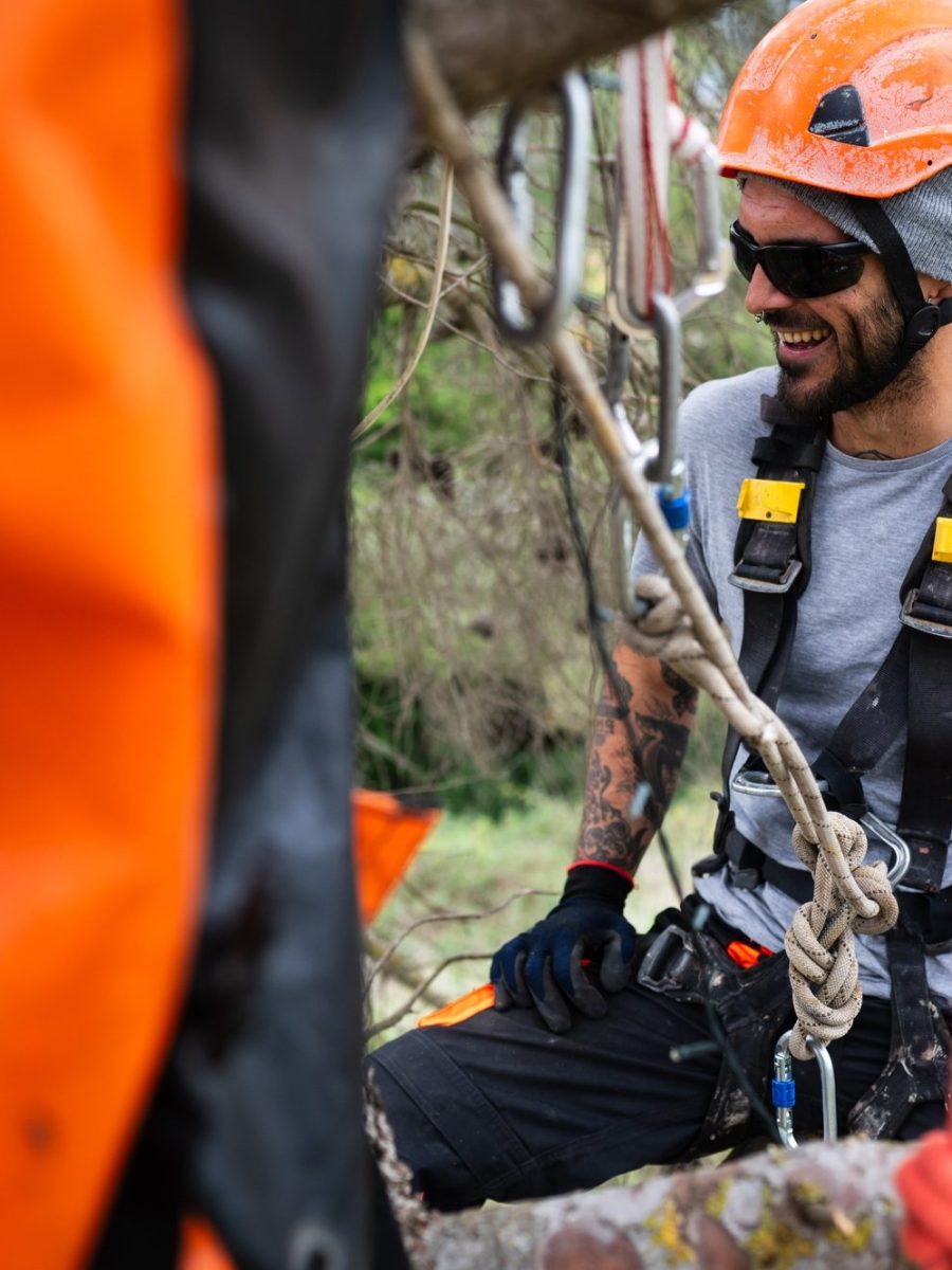 Rope access technician pruning trees using specialized equipment and safety gear